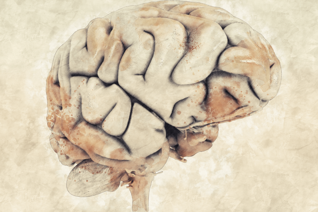 Psihoconfort - Stimularea magnetică transcraniană (TMS) – cum funcționează